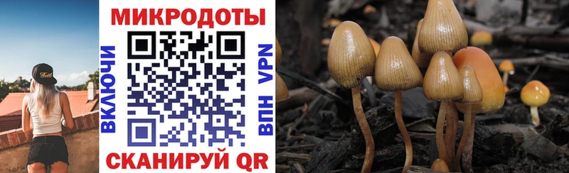 Псилоцибиновые грибы Magic Shrooms  Купить где  Тюкалинск 